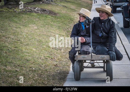 Lancaster, Pennsylvania, USA. 27. Februar 2016. Amish-Schlamm-Verkauf, statt jeden Frühling in Lancaster, Pennsylvania.  Fundraising für die örtliche Feuerwehr Spezialtische Credit: CREATIVE COLLECTION TOLBERT Foto/Alamy Live News Stockfoto