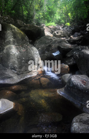 Python Creek über dem Tully River, weit im Norden Queensland, Australien Stockfoto