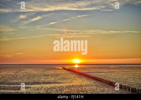 Deutschland, Dithmarschen, Friedrichskoog-Spitze, Sonnenuntergang an der Nordsee-Nordsee Stockfoto