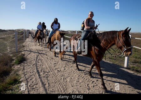 Menschen, die Reitpferde, Grenze Feld State Park, Tijuana River Estuarine Research Nationalreservat, California, USA Stockfoto