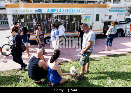 Florida, Süd, FL, Miami Beach, Mobil adoptieren Tierheim Haustier Haustiere, Anhänger, Annahme, Erwachsene, Erwachsene, Mann Männer männlich, Frau Frauen weibliche Dame, Paar, suchen wa Stockfoto