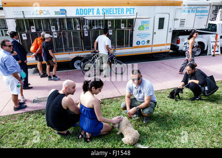 Miami Beach Florida, mobil Adoptieren Tierheim Haustier, Anhänger, Annahme, Erwachsene, Erwachsene, Mann Männer männlich, Frau weibliche Frauen, Paar, suchen, ASPCA, Hund, Hunde, FL1601 Stockfoto