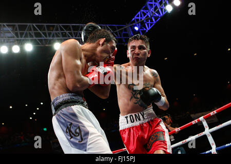 Waterfront Hotel, Cebu City, Philippinen 27/02/2016.Pinoy stolz 35 "Stars of The Future" Box-Event. Filipino Kevin Jake "KJ" Cataraja (weiße Stämme), Kämpfe mit Tony Rodriguez von Mexiko in ein Fliegengewicht zusammenpassen. Cataraja nehmen die 8 Runden kämpfen durch Beschluss. Stockfoto