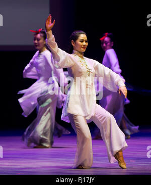 (160228)--TORONTO (Kanada), 28. Februar 2016 (Xinhua)--chinesische Künstler aus Henan Gesang und Tanz Performing Arts Group führen Tanz "Eindruck des Tai Chi" während der "Kulturen von China, Festival of Spring" Gala in Toronto, Kanada, am 27. Februar 2016. (Xinhua/Zou Zheng) Stockfoto