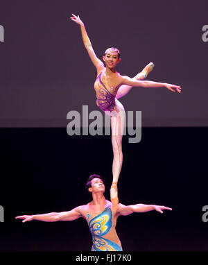 (160228)--TORONTO (Kanada), 28. Februar 2016 (Xinhua)--chinesische Akrobaten Sun Yina (siehe oben) und Yang Wentong führen akrobatischen Ballett "Butterfly Lover' während der Gala"Kulturen von China, Festival of Spring"in Toronto, Kanada, 27. Februar 2016. (Xinhua/Zou Zheng) Stockfoto