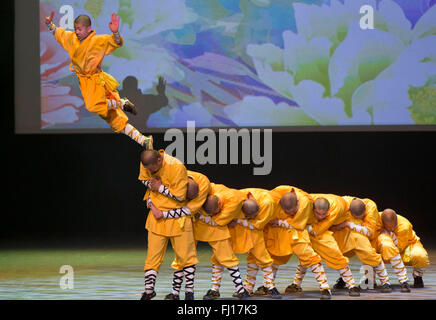 (160228)--TORONTO (Kanada), 28. Februar 2016 (Xinhua)--Mitglieder der chinesischen Shaolin Tempel Krieger-Mönchen führen Martial Arts während der "Kulturen von China, Festival of Spring" Gala in Toronto, Kanada, am 27. Februar 2016. (Xinhua/Zou Zheng) Stockfoto