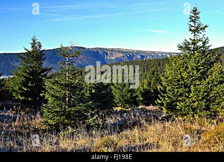 Herbstmorgen Blick auf Labsky Dul Tal vom Cihadlo Hügel im Riesengebirge Stockfoto