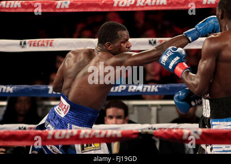 New York, New York, USA. 28. Februar 2016. TERENCE CRAWFORD (blaue und schwarze Stämme) und HENRY LUNDY Schlacht in einem superleichten Kampf im Madison Square Garden in New York City, New York. Bildnachweis: Joel Plummer/ZUMA Draht/Alamy Live-Nachrichten Stockfoto