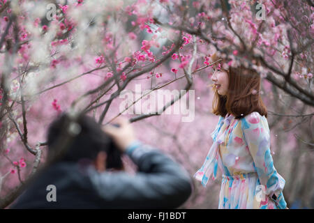 Nanjing, China Jiangsu Provinz. 28. Februar 2016. Menschen sehen Pflaumenblüten in einer malerischen Gegend in Nanjing, der Hauptstadt der ostchinesischen Provinz Jiangsu, 28. Februar 2016. © Su Yang/Xinhua/Alamy Live-Nachrichten Stockfoto