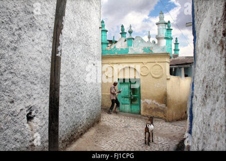 Moschee In der Altstadt, Harar, Äthiopien Stockfoto