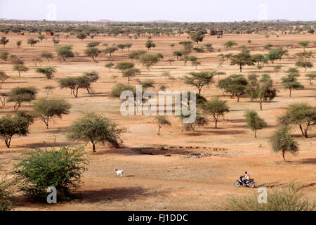 Landschaft der Sahelzone in der Nähe von gorom Gorom, Burkina Faso Stockfoto