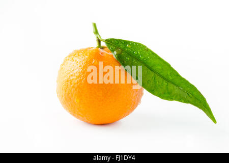 Clementine mit Blatt isoliert auf weißem Hintergrund Stockfoto