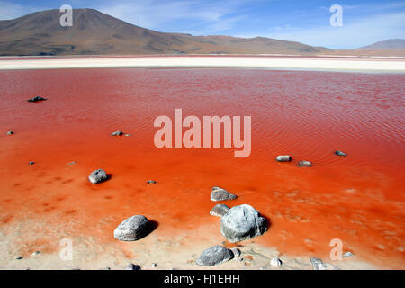 Bolivien Landschaft der Laguna Colorada Stockfoto