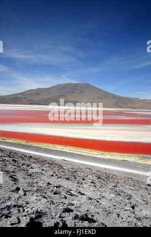 Landschaft: Laguna Colorada in Bolivien Stockfoto