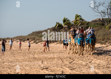 Ein Kamel Zug mit Touristen geführt auf einem 2km Spaziergang entlang Cable Beach in Broome, Küsten-, Perlentauchen und touristischen Stadt in der Stockfoto