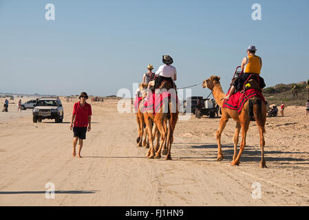 Touristen auf gesattelten Kamelen auf der 4 km hin-und Rückfahrt Sonnenuntergang Kamel reiten fahren, wie die Sonne am Cable Beach in Broome, eine Küste untergeht Stockfoto