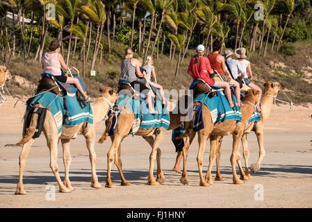 Eine Gruppe von Touristen genießen einen Sonnenuntergang Kamelritt entlang Cable Beach in Broome, Küsten-, Perlentauchen und touristischen Stadt in der Kimber Stockfoto