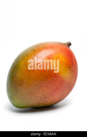 Frische reife einziges Mango auf weißem Hintergrund Stockfoto