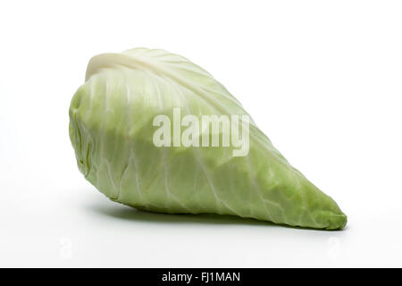Frische ganze rohe spitz Kohl auf weißem Hintergrund Stockfoto
