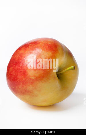 Eine ganze Elstar Apfel auf weißem Hintergrund Stockfoto