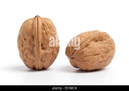 Zwei ganze Walnüsse auf weißem Hintergrund Stockfoto