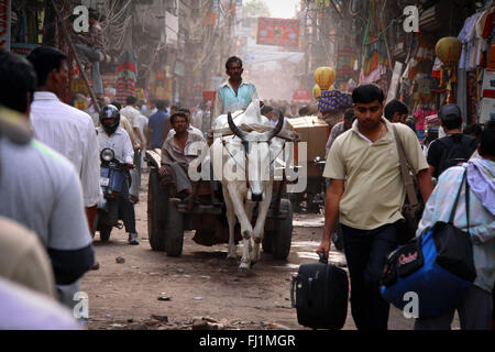 Menge und Kuh Ziehen einer Warenkorb in einer belebten Straße in Delhi, Indien (pahr Ganj Bereich) Stockfoto