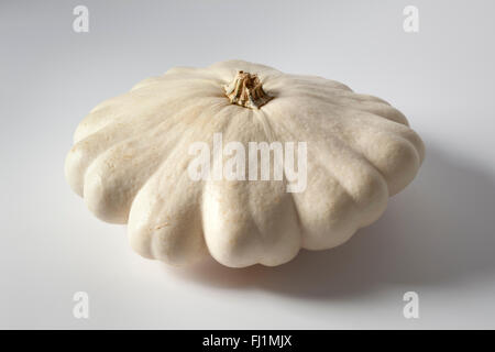 Einzigen frischen rohen Patty Pan squash Stockfoto