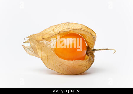 Einzigen frischen Reifen Physalis auf weißem Hintergrund Stockfoto