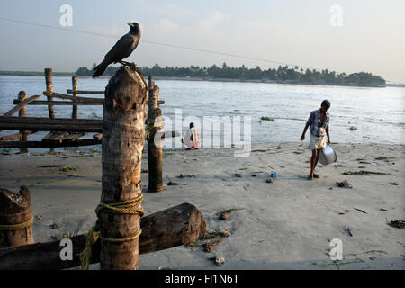 Menschen und Krähe auf den Strand von Fort Kochi, Cochin, Kerala, Indien Stockfoto