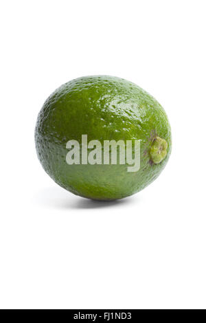 Eine frische Limette isoliert auf weißem Hintergrund Stockfoto