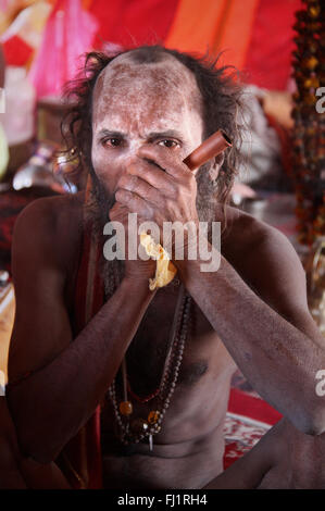 Naga sadhu Rauchen chilim Chillum in Kumbh mela in Haridwar, Indien Stockfoto