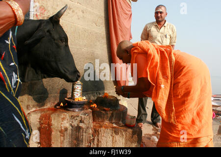 Frau mit heilige Kuh die Puja Rituals ona Ghat von Varanasi, Indien Stockfoto