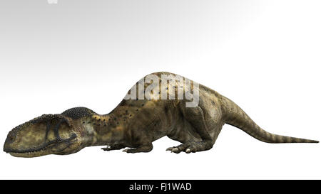 Abelisaurus ist eine Gattung des räuberischen abelisauriden Theropoden-Dinosauriers, der in der späten Kreidezeit lebt Stockfoto