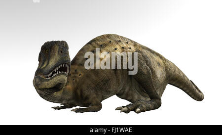 Abelisaurus ist eine Gattung des räuberischen abelisauriden Theropoden-Dinosauriers, der in der späten Kreidezeit lebt Stockfoto