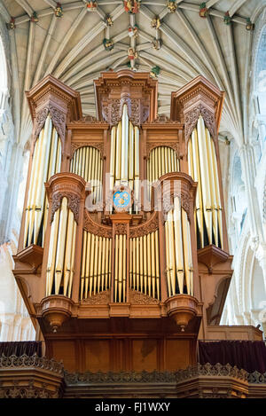 Norwich Cathedral, Stockfoto