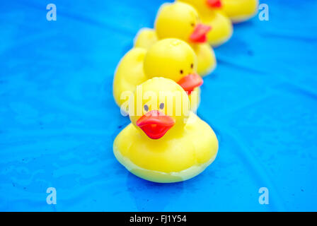 Reihe von gelben Enten im Pool. Stockfoto