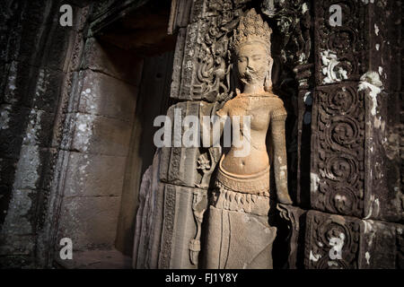 Apsara in Ta Prohm, Siem Reap, Kambodscha Stockfoto