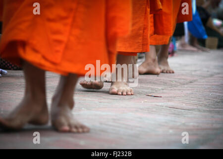 Tak Bat Ritual - Buddhistische Mönche erhalten Reis und Lebensmittel aus pupulation am frühen Morgen in Luang Prabang, Laos, Asien Stockfoto