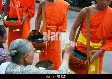 Tak Bat Ritual - Buddhistische Mönche erhalten Reis und Lebensmittel aus pupulation am frühen Morgen in Luang Prabang, Laos, Asien Stockfoto