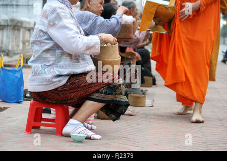 Tak Bat Zeremonie am Morgen - Buddhistische Mönche erhalten Reis und Essen von Bevölkerung in Luang Prabang, Laos, Asien Stockfoto