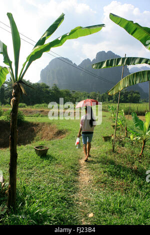 Typische Landschaft rund um das Dorf Vang Vieng, Laos, Südostasien Stockfoto