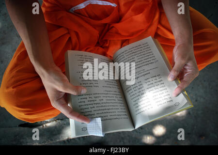 Buddhistischer Mönch im Kloster in Luang Prabang, Laos, Asien Stockfoto