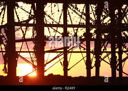 Aberystwyth, Großbritannien. 28. Februar 2016. Stare unter Pier bei Sonnenuntergang in Aberystwyth, Großbritannien. 28. Februar 2016. Stare unter Pier bei Sonnenuntergang in Aberystwyth,Ceredigion,Wales,U.K. © Paul Quayle/Alamy Live News Bildnachweis: Paul Quayle/Alamy Live News Stockfoto