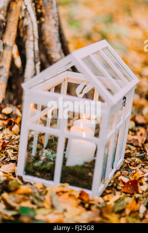 Weißer Hand gemacht Laterne mit Kerzen in die herbstlichen Wälder Stockfoto