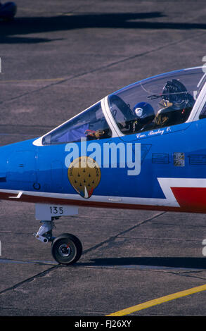 Haute-Saône (70), base Aerienne de Luxeuil Saint Sauveur, La Patrouille de France, Alpha Jet / / Frankreich, Haute-Saône (70), Luft-Ba Stockfoto