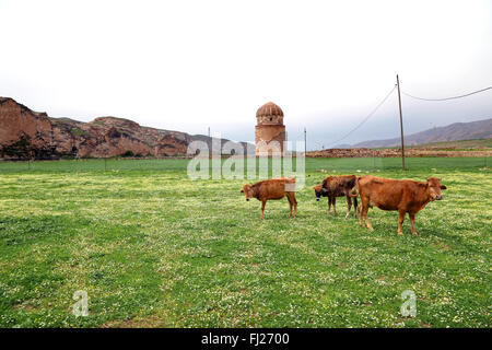 Zeynel Bey Mausoleum in Hasankey, Ost-Türkei Stockfoto