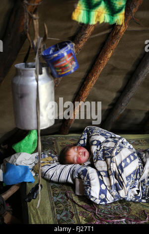 Baby im Zelt schlafen,, Tsaatan Dukha, nomadischen Rentier Hirten, Mongolei Stockfoto