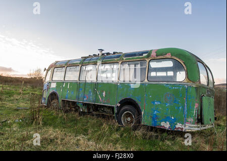 Bristol MW 6 G/ECW-Trainer von 1961 sitzt in einem Feld in West Cork, Irland mit Kopie Raum verlassen Stockfoto