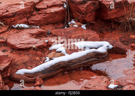 Schnee, ein Wasser - geschnitzte Anmelden nach einem letzten winter storm, unter roten Sandsteinfelsen ist ein Datenstrom, in Sedona, Arizona Stockfoto