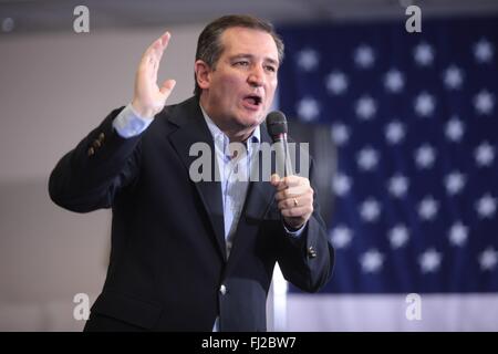 Republikanische Präsidentschaftskandidat Senator Ted Cruz während der mutigen konservativen Nevada Rallye mit Glenn Beck von gehosteten halten das Versprechen PAC im Henderson Convention Center 21. Februar 2016 in Henderson, Nevada. Stockfoto